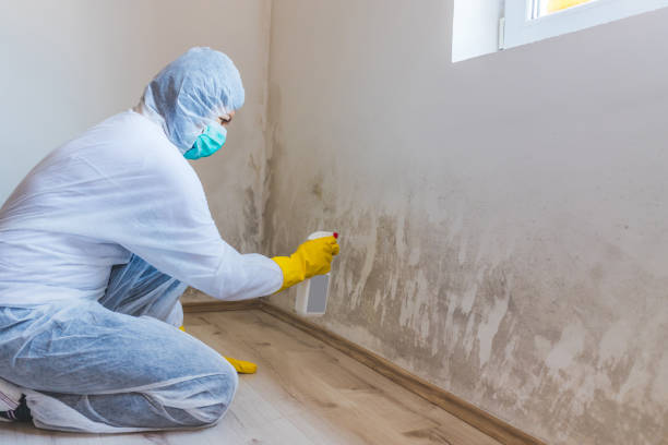 Mold Remediation specialist working in Okemos